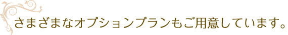 さまざまなオプションプランもご用意しています。